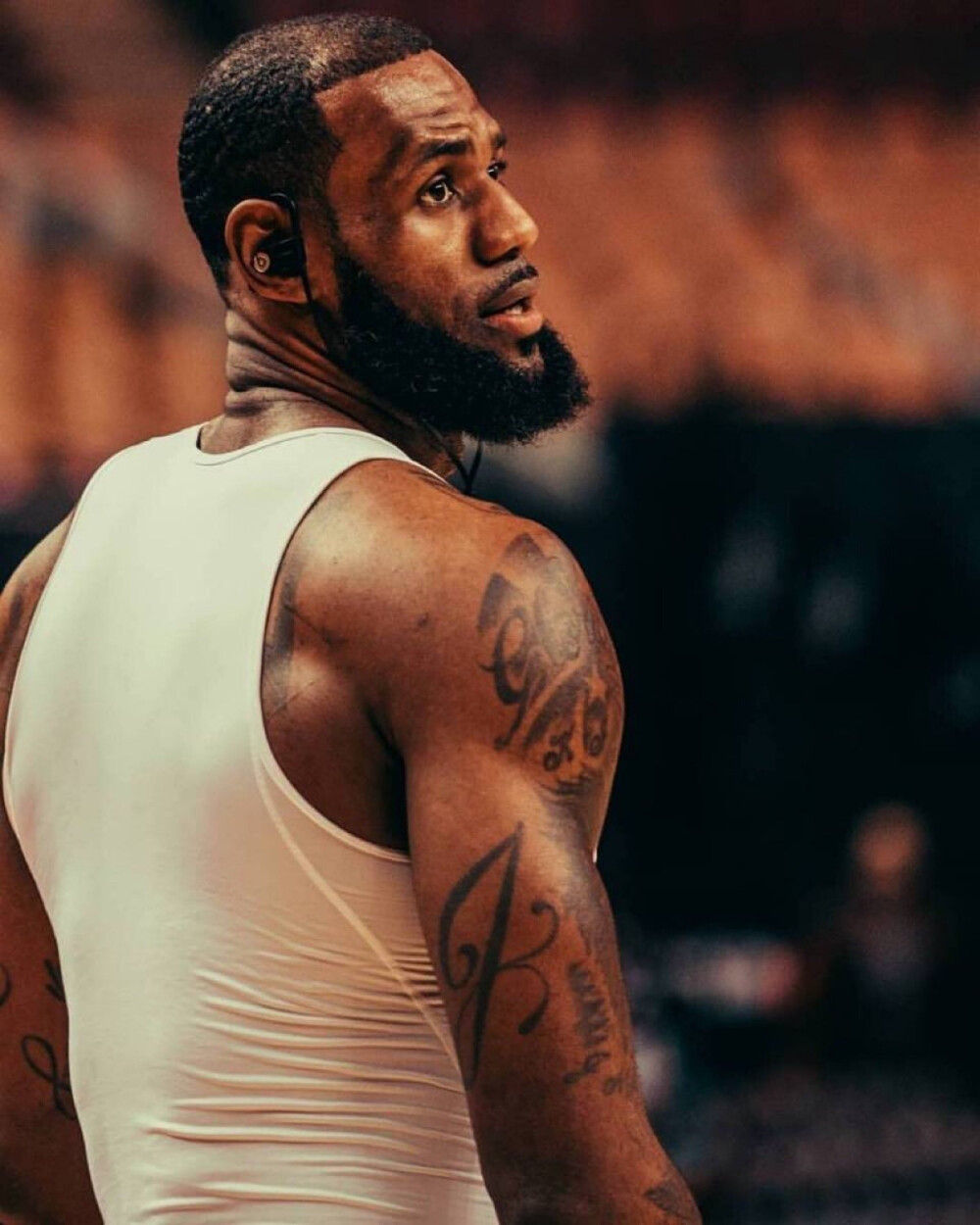 成稳态的神 成稳态的神